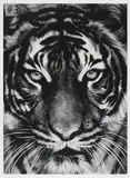 Robert Longo, Tiger, 2011, Archival pigment print, on Epson hot-pressed paper, with full margins,