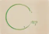 Ed Ruscha, Carp with Fly, 1969, Lithograph in colours, on Arches paper, with full margins