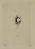Wols, Untitled, from Chaystre ou les plaisirs incommodes (Chaystre or Inconvenient Pleasures), 1948, Etching and drypoint, on Alfa-Navarre laid paper, with full margins