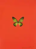New Beginnings: one plate by Damien Hirst, 2011, Polymer gravure block print in colours, on Zerkall paper, the full sheet, sold Jan 2019
