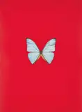 New Beginnings: one plate by Damien Hirst, 2011, Polymer gravure block print in colours, on Zerkall paper, the full sheet, sold Jan 2019