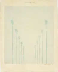 Ten Palm Trees in the Mist by David Hockney, 1973, Lithograph in colours, on Arches Cover mould-made paper, with full margins, sold Sep 2019