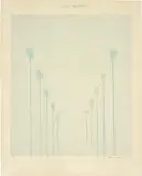 David Hockney, Ten Palm Trees in the Mist, 1973, Lithograph in colours, on Arches Cover mould-made paper, with full margins