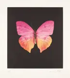 The Souls on Jacob's Ladder Take Their Flight (Unique) by Damien Hirst, 2007-2016, Unique etching in colours, on Velin Arches paper, with full margins, sold Sep 2019