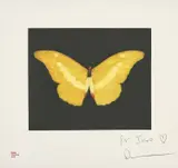 To Lure by Damien Hirst, 2008, Etching in colours, on wove paper, with full margins, offered Sep 2019