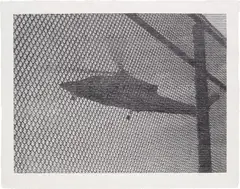 Manhattan Transfer by Christiane Baumgartner, 2010, Woodcut in monochrome, on Kozo paper, with full margins, sold Sep 2019