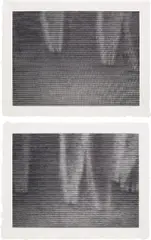 Trails I; and Trails II by Christiane Baumgartner, 2008, The complete set of two woodcuts, in monochrome, on Kozo paper, with full margins, sold Sep 2019