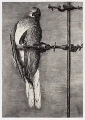 Bird Catcher by William Kentridge, 2006, Archival pigment print, on Gokung Korean Paper, with full margins, sold Sep 2019