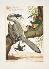 Swadeshi-cide (Indigenous) by Walton Ford, 1998, Etching in colours, on Somerset Satin paper, with full margins, sold Sep 2019
