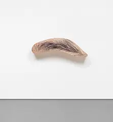 John Baldessari, Eyebrow, 2009, Chromogenic print laminated with Lexan, flush-mounted to shaped aluminium painted in pink acrylic