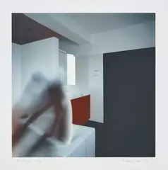 Bathroom - fig. 1 by Richard Hamilton, 1997, Computer-processed Iris giclée print in colours, on Somerset paper, with full margins, offered Jun 2019