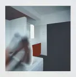 Richard Hamilton, Bathroom - fig. 1