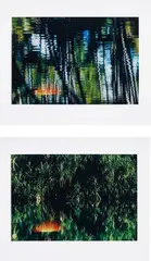 Sunset 1; and Sunset 2, from Double Exposure by Axel Hütte, 2002, The complete set of two Cibachrome prints, on photo paper flush-mounted to Plexiglas (as issued), with full margins, offered Jun 2019