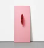 Anish Kapoor, Reverse Perverse, from Door Cycle, 2006, Red acrylic sculpture attached through a wooden door panel lacquered in pink