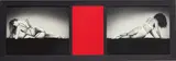 Mirror Image by Robert Mapplethorpe, 1987/88, Two laminated gelatin silver prints on either side of red mirror-polished Plexiglas, sold Jun 2019