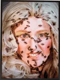 Cindy Sherman, Untitled, 1989, Two transparencies printed in colours, superimposed in a black painted aluminium electrical lightbox