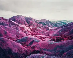 Richard Mosse, Nowhere to Run (Infra series), 2010, Chromogenic print, flush-mounted