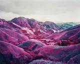 Richard Mosse, Nowhere to Run (Infra series), 2010, Chromogenic print, flush-mounted