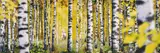 Ruud van Empel, Theatre #6