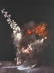 Ori Gersht, Untitled 28 from Time After Time: Exploding Flower & Other Matters, 2007, Chromogenic print, flush-mounted
