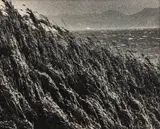 Ishiuchi Miyako, 絶唱、横須賀ストーリー#5 野比海岸, Yokosuka Story #5 Nobikaigan, 1976, Gelatin silver print, printed 1977