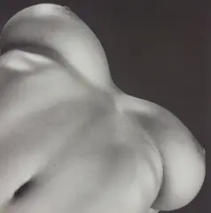 Lisa Marie / Breasts by Robert Mapplethorpe, 1987, Gelatin silver print, flush-mounted, sold May 2019
