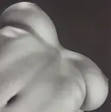 Lisa Marie / Breasts by Robert Mapplethorpe, 1987, Gelatin silver print, flush-mounted, sold May 2019