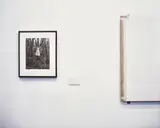 Louise Lawler, Photograph, Painting