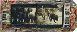 Peter Beard, Buffalo Springs, Kenya, June