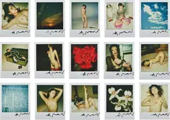 36 Polaroids by Nobuyoshi Araki, n.d., 36 unique Polaroid Type 600 prints, sold May 2019