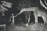 Peter Beard, Maureen and a late-night feeder, 2:00am, Hog Ranch