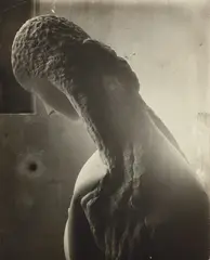 Constantin Brancusi, Femme se regardant dans un miroir [Woman looking into a mirror], 1909, Gelatin silver print, likely printed early 1920s