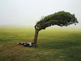 Pieter Hugo, Green Point Common, Cape Town from Kin