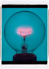 Amanda Means, Light Bulb 00062C, 2007, Unique colour Polaroid print