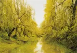 Elger Esser, Puget Island II, 2007, Chromogenic print, face-mounted to Diasec