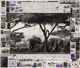 Peter Beard, The Gardeners of Eden