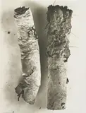 Cigarette 17 by Irving Penn, 1972, Platinum-palladium print, flush-mounted, sold Oct 2019