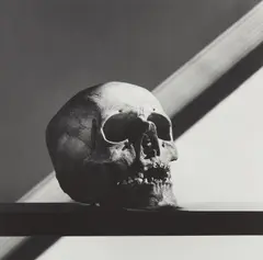 Robert Mapplethorpe, Skull, 1988, Gelatin silver print