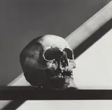 Skull by Robert Mapplethorpe, 1988, Gelatin silver print, sold Oct 2019