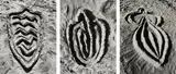 Ana Mendieta, Selected Images from Sandwomen, Miami