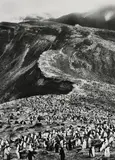 Sebastião Salgado, Chinstrap Penguins (Psygoscelis Antarctica), Deception Island, Antarctica
