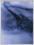 Wolfgang Tillmans, Greifbar 27, 2014, chromogenic print mounted on aluminium, in artist's frame