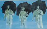 Luc Tuymans, Singing in the Rain