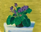 David Hockney, Bridlington Violets, 1989, oil on canvas