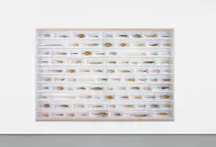 Without You by Damien Hirst, 2008, glass, painted MDF, beech, acrylic, fish and formaldehyde solution, sold Mar 2018