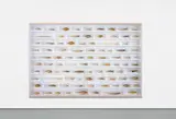 Damien Hirst, Without You, 2008, glass, painted MDF, beech, acrylic, fish and formaldehyde solution