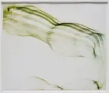 Freischwimmer 63 by Wolfgang Tillmans, 2004, chromogenic print, in artist's frame, sold Mar 2018