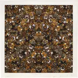 Underworld by Damien Hirst, 2008, butterflies and household gloss on paper, sold Mar 2018