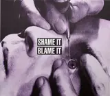 Barbara Kruger, Shame It Blame It, 2010, mixed media on vinyl