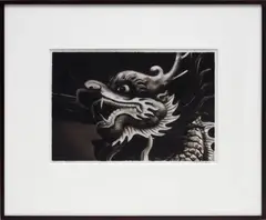 Robert Longo, Study for Dragon, 2016, ink and charcoal on velum, in artist's frame